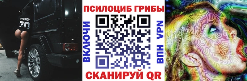 Галлюциногенные грибы Psilocybine cubensis  Купить  Барабинск 